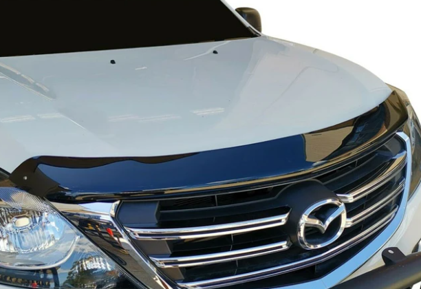 Bonnet Guard Tinted