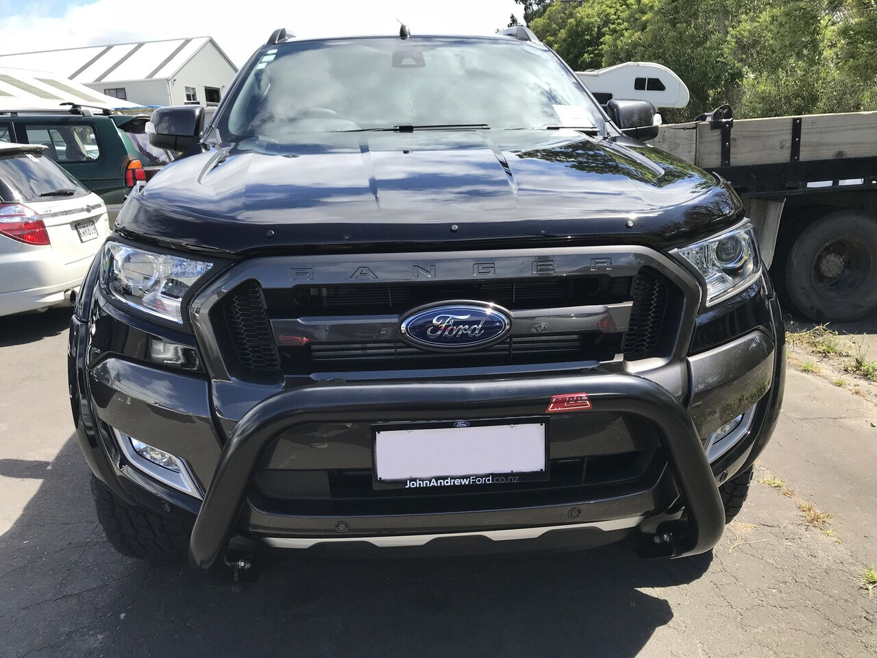 Bonnet Guard Tinted